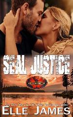 SEAL JUSTICE (Brotherhood Protectors)