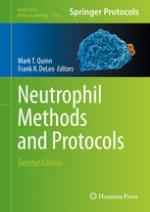 Neutrophil methods and protocols.
