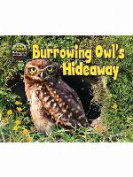 Burrowing Owl's Hideaway
