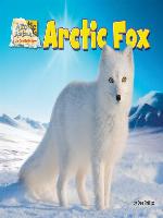 Arctic Fox