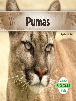 Pumas