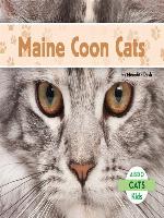 Maine Coon Cats