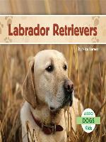 Labrador Retrievers