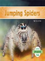 Jumping Spiders