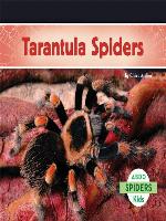 Tarantula Spiders