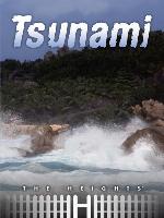 Tsunami