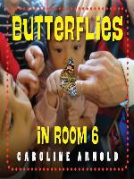Butterflies in Room 6