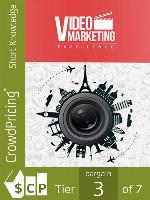 Video Marketing Excellence