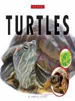 Turtles