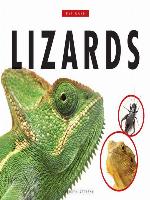 Lizards