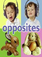 Opposites
