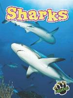 Sharks