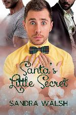 Santa's Little Secret