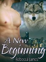 A New Beginning