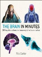 The Brain in Minutes