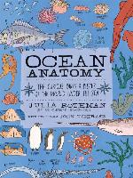 Ocean Anatomy
