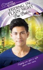 Hiding in Plain Sight (Dreamspun Beyond)