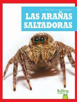 Las arañas saltadoras (Jumping Spiders)
