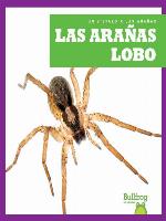 Las arañas lobo (Wolf Spiders)