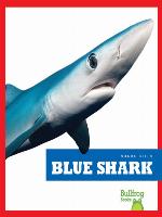 Blue Shark