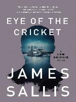Eye of the Cricket