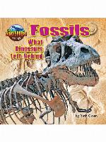 Fossils