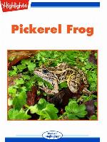 Nature Watch: Pickerel Frog; Spot the Imposter