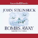 Bombs Away: The Story of a Bomber Team