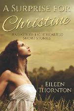 A Surprise for Christine: Large Print Edition