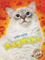 Ragdolls