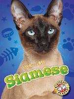 Siamese