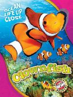 Clownfish