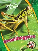Grasshoppers