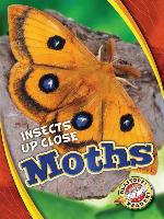 Moths
