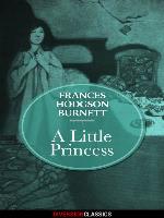 A Little Princess (Diversion Illustrated Classics)
