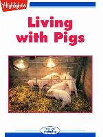 Living with Pigs