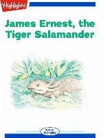 James Ernest the Tiger Salamander