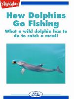 How Dolphins Go Fishing