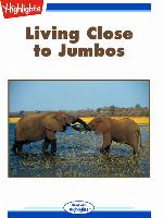 Living Close to Jumbos