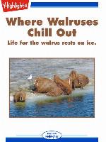 Where Walruses Chill Out