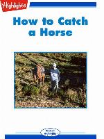 How to Catch a Horse