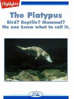 The Platypus
