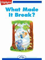 What Made It Break?
