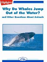 Why Do Whales Jump out of the Water? and Other Questions About Animals