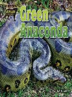 Green Anaconda
