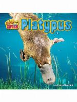 Platypus