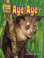 Aye-Aye