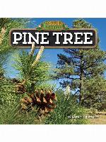 Pine Tree