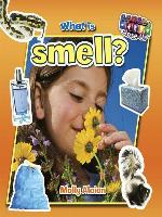What is smell?