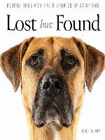 Lost But Found